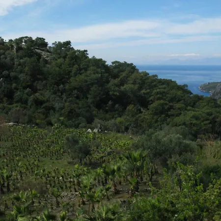 Palm House Dalyan Chata Ortaca (Mugla)