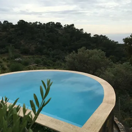 Chata Palm House Dalyan *